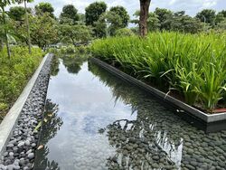 Dairy Farm Residences (D23), Apartment #553762691